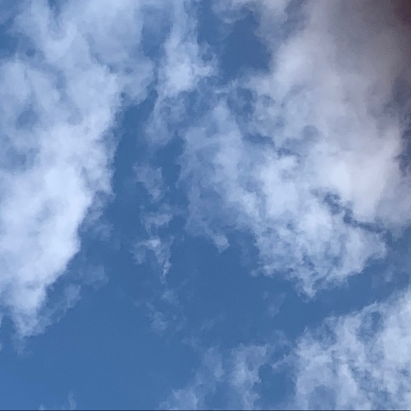 Meet your Posher, Nour - Picture 1 of 1